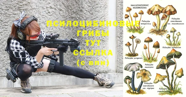 круглые Бронницы