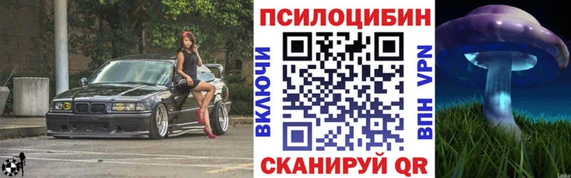 купить наркотики цена Мостовской KRAKEN рабочий сайт Галлюциногенные грибы Psilocybe
